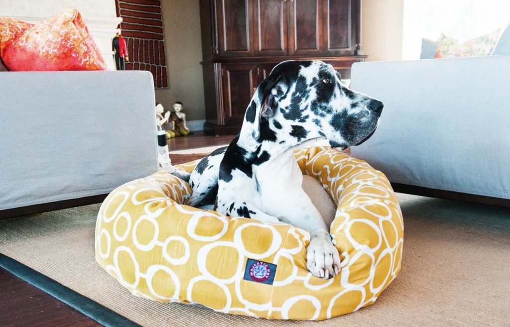 Majestic pet dog bed review